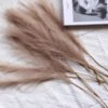 Fluffy Pampas Grass Boho Decor-Flowers-Arlik interiors